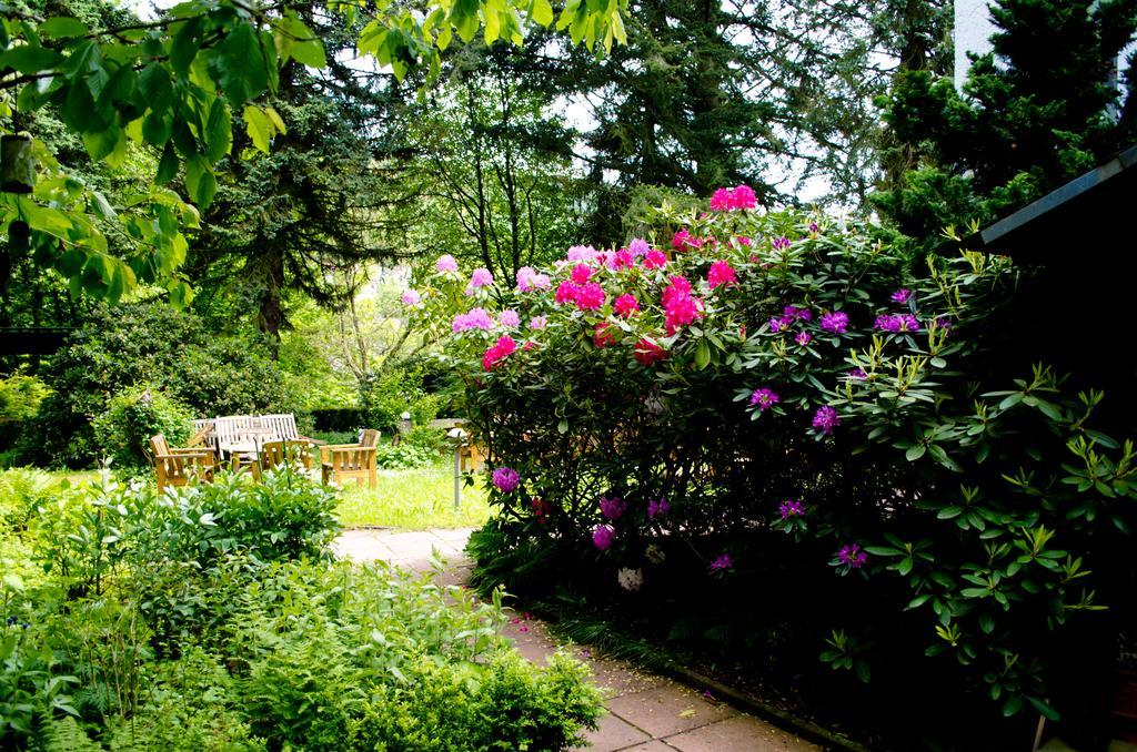 Bed and Breakfast Haus Helvetia Bad Orb Exterior foto